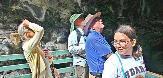 group 2.jpeg