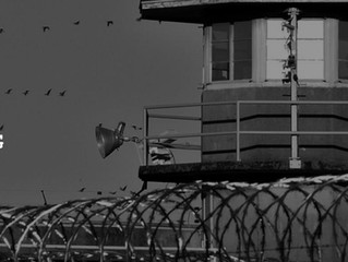 ‘Prison Break’ Season 6 speculations – what the viewership numbers of P2P network users suggest