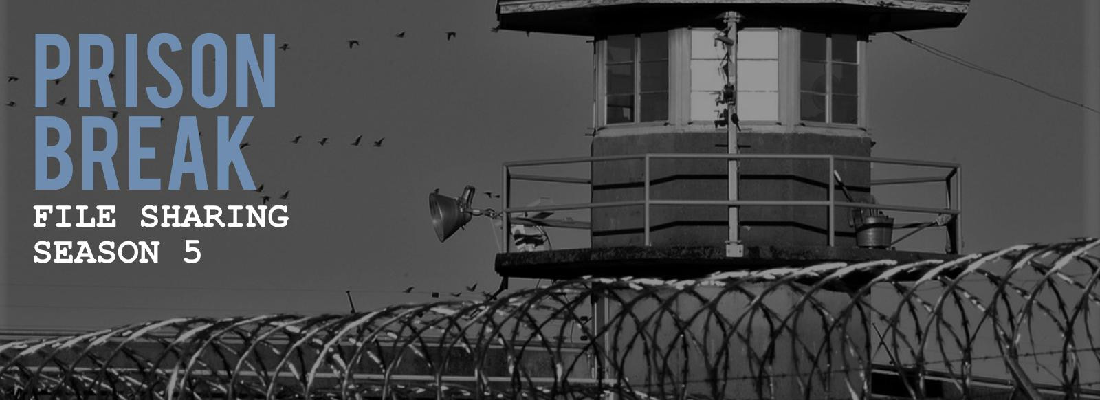 Prison Break Season 6 Speculations Viewership Numbers Of S5