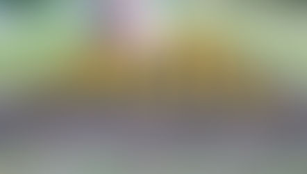 きじひき高原の花植