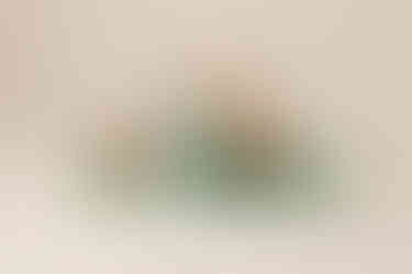 Toddler photography session in Sioux City