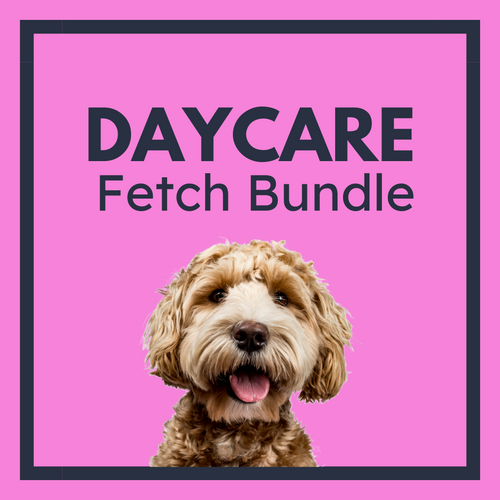 Doggy Daycare Creature Comforts Dog Boarding Fetch Daycare And