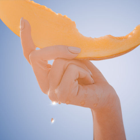 melon-01.jpg