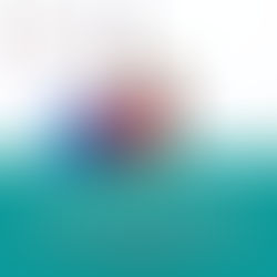 Veedels-Tauben im Podcast