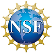 NSF logo (1).png