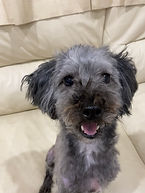 雨宿り中【リタ】