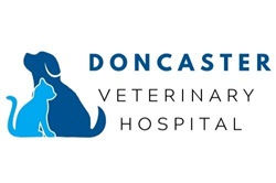 DHV Logo