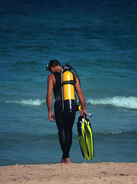 Diver on Beach