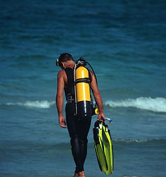 Sightseeing tours, PADI