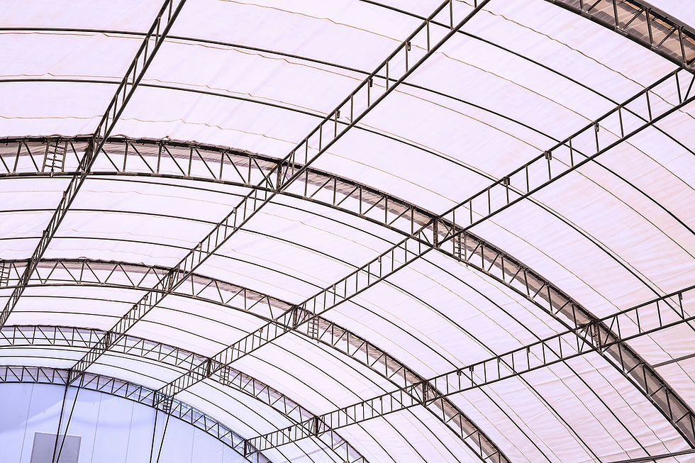 view-from-inside-of-metal-roof-structure-with-canv-2026-01-08-22-08-05-utc.jpg