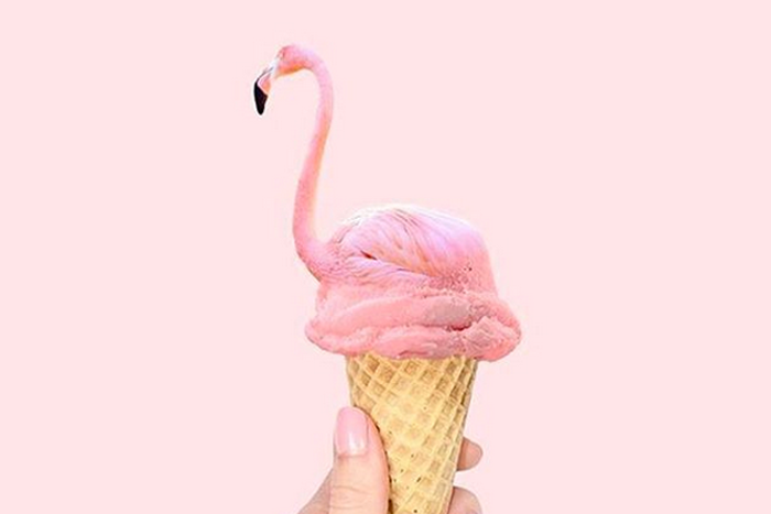 The flamingo-ice cream