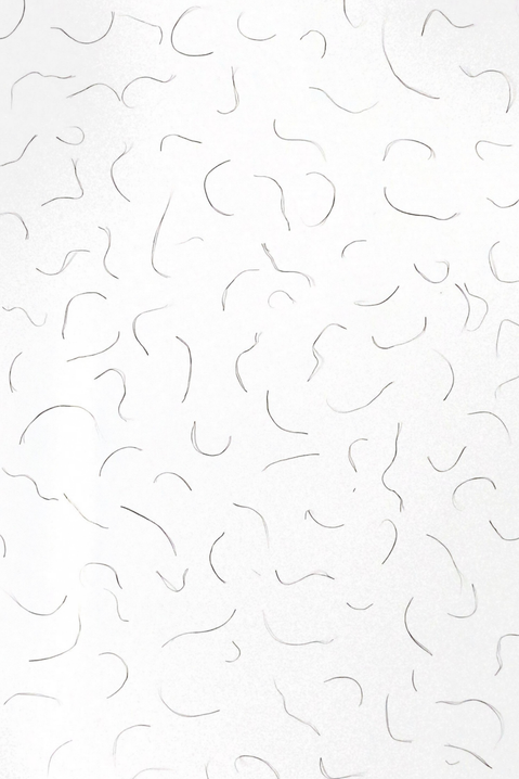 body hair — zine