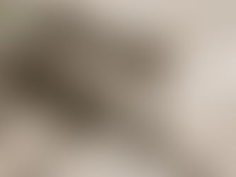 Summer Lovin' - Let's Have A Blast