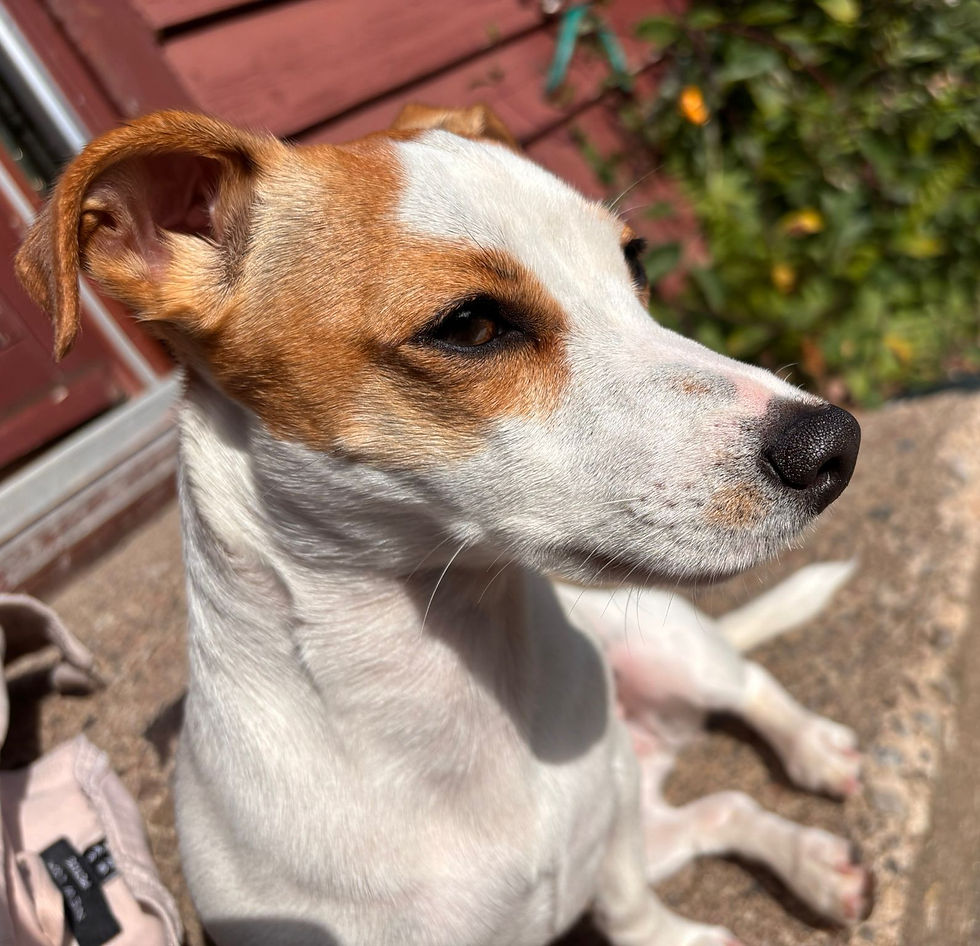 Nora