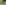 IMG-3664.JPEG