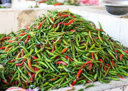 Bhutan-38