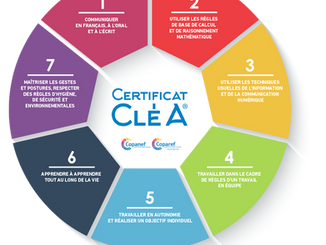 Vous êtes pro faites le savoir : Le certificat CléA