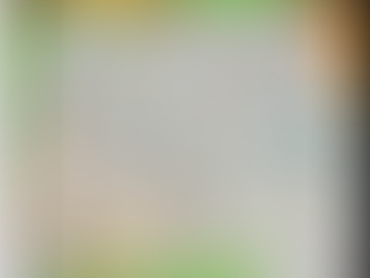 Bringing Games into Social Studies