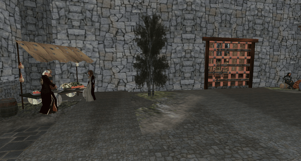 sca5 medival winter gif.gif
