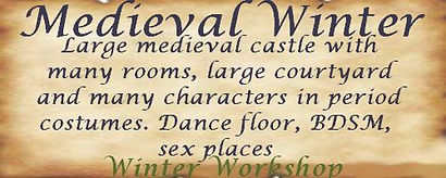 medieval winter t.jpg