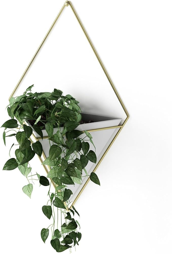 Modern Minimalism Hanging Planter for Your Framed Floral Arrangement