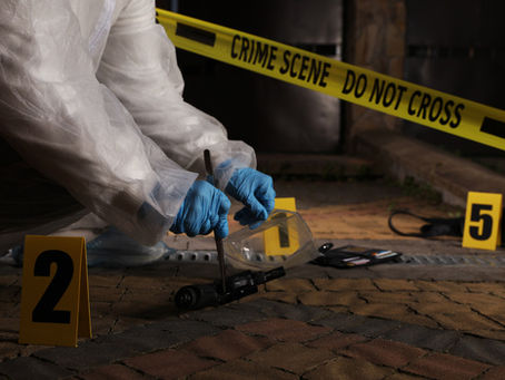 Violent crime rates continue to fall from pandemic heights