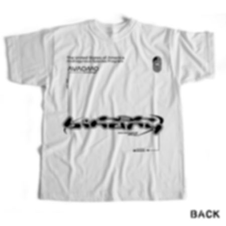 “USAASP” Graphic Tee LE