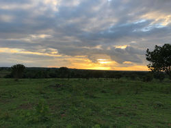 WhatsApp Image 2021-07-18 at 10.34.38 PM.jpeg