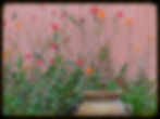 DSC00178.JPG