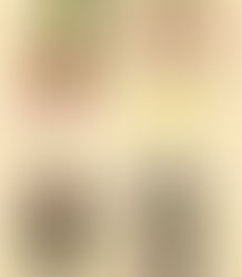 BRISCOLA                                                       Il gioco che unisce tavoli e generazioni