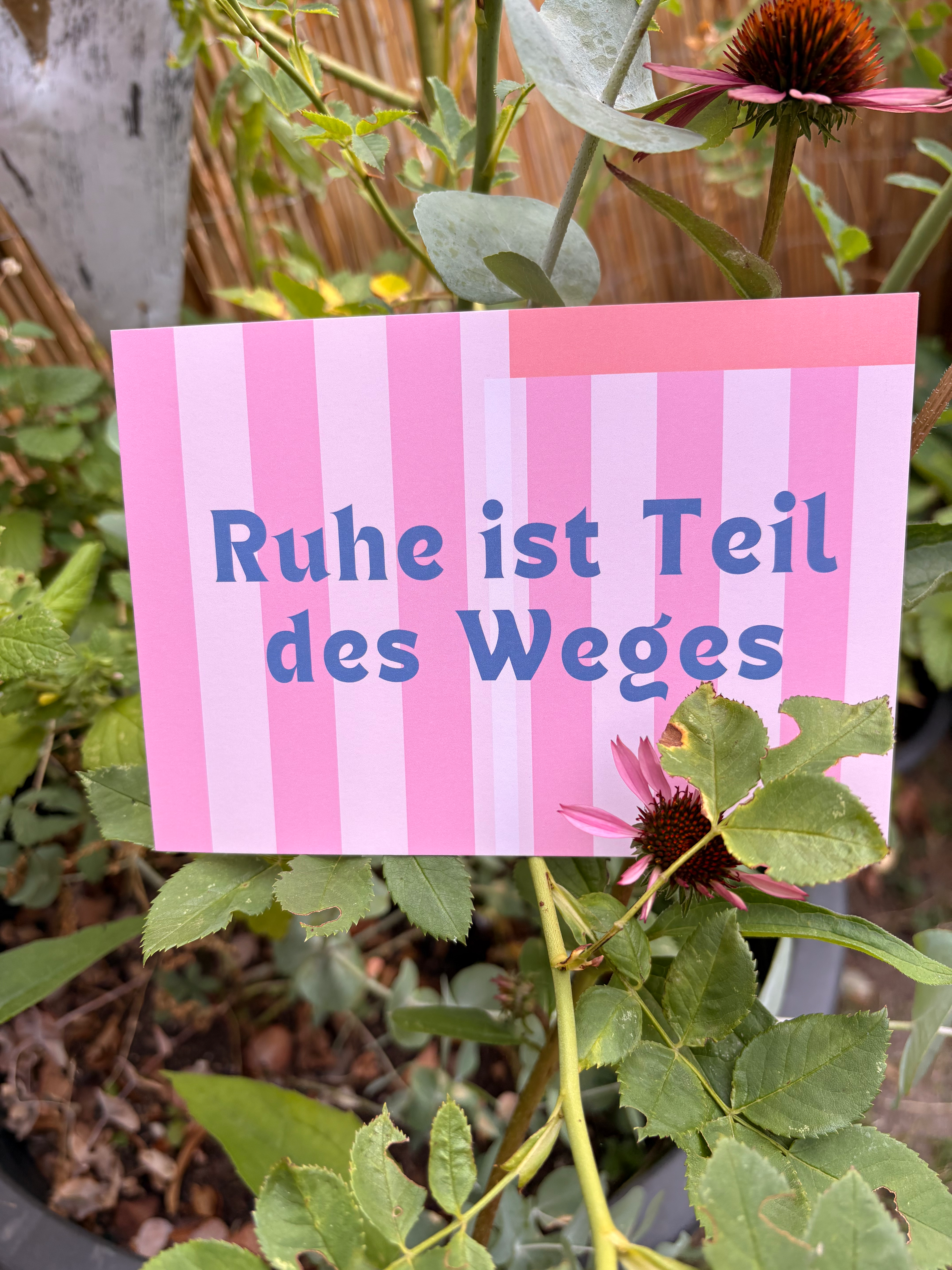 Quiet Postcards - Postkarten mit Mehrwert 5 Stück