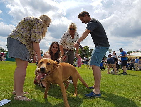 Matfield Fete Dog Show 2019