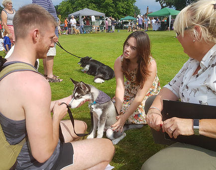 Matfield Fete 2019 dog show