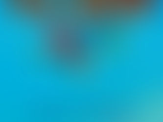 YES Launch 1st Track The Ice Bridge From The Quest