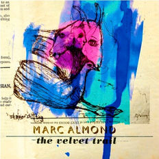 Sleeve-Velvet-trail-CD.jpeg