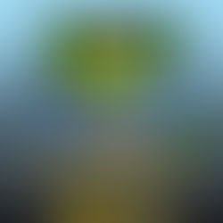 YES Launch YouTube Interview About Close To The Edge Tour