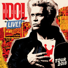 Billy-Idol-Live-Tour-1.jpeg