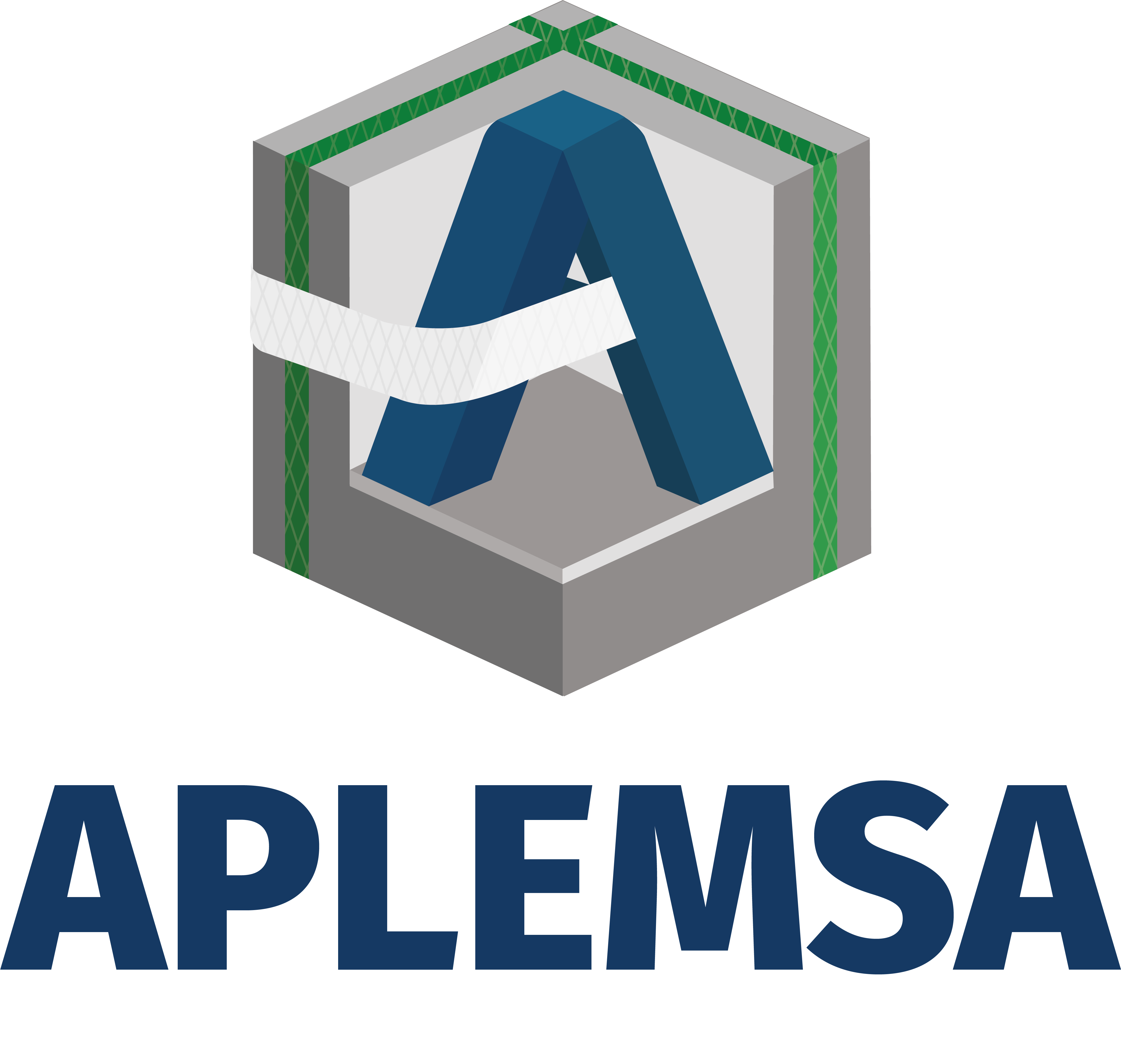 Foto del escritor: Aplemsa