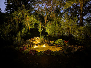 summer pond maintenance in chicago illinois