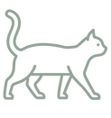 cat icon