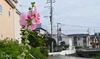 教会紹介 横浜永谷キリスト教会ホームページ