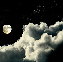 Moonlit Night