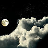 Moonlit Night