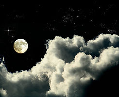 Moonlit Night 