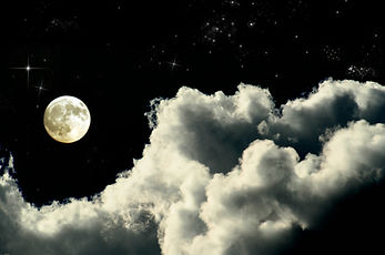 Moonlit Night
