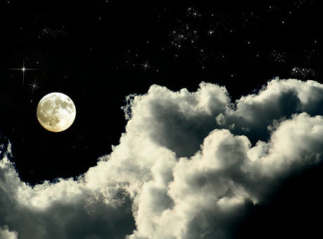 Moonlit Night