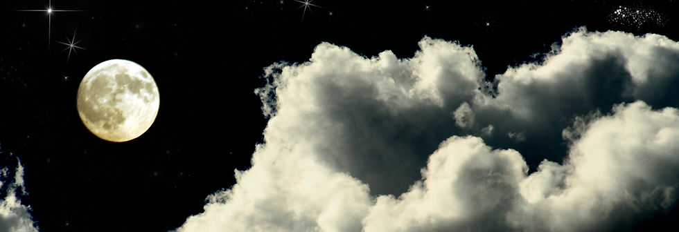 Moonlit Night