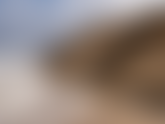 Érosion à Biscarrosse : quand l’été se prépare… dès l’hiver