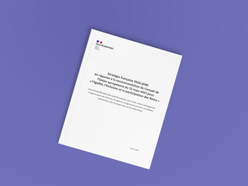 Stratégie française 2020-2030 en réponse à la recommandation européenne sur "l'égalité, l'inclusion et la participation des Roms"