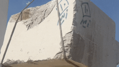Untitled design.gif